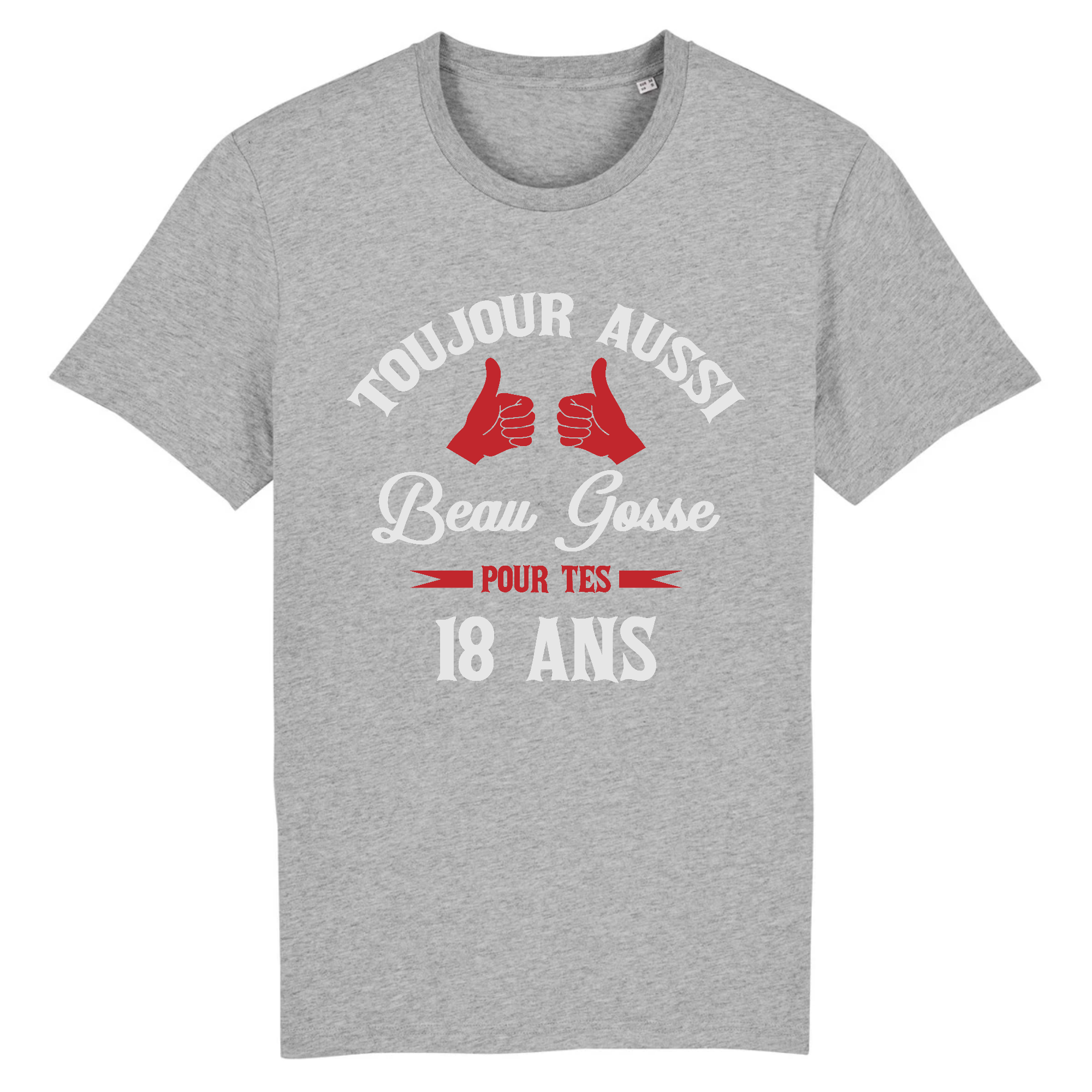 4928673-Gris1618155662.png