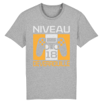 T-shirt anniversaire 18 ans pour gamer