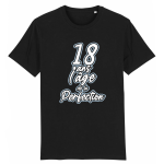 T-shirt 18 ans l'âge de la perfection, cadeau anniversaire 18 ans