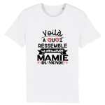 T-shirt meilleure mamie du monde